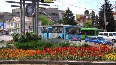 В Житомирі у "метелику" на майдані Соборному висадили близько 700 рослин В Житомирі у "метелику" на майдані Соборному висадили близько 700 рослин