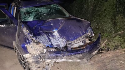 Поліція затримала водія легковика, який на смерть збив 22-річного хлопця на Чернігівщині