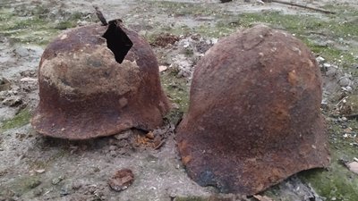 На Житомирщині знайшли останки солдата, який загинув у бою у 1941 році На Житомирщині знайшли останки солдата, який загинув у бою у 1941 році