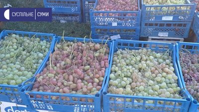 Понад 50 виробників представили свою продукцію на ярмарку "Золота осінь" у Сумах Понад 50 виробників представили свою продукцію на ярмарку "Золота осінь" у Сумах