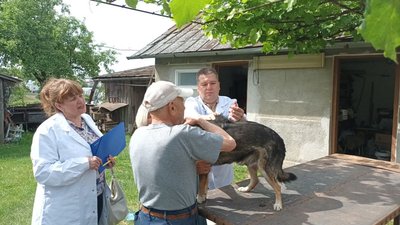 На Тернопільщині проводять вакцинацію домашніх тварин На Тернопільщині проводять вакцинацію домашніх тварин