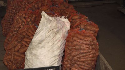 Зоопарк у Черкасах готується до зими Зоопарк у Черкасах готується до зими