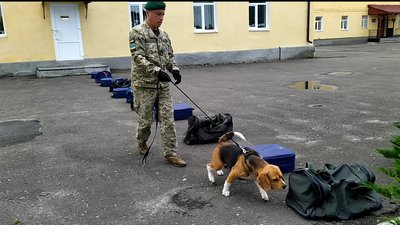 На Львівщині у кінологічному центрі провели випускні іспити На Львівщині у кінологічному центрі провели випускні іспити