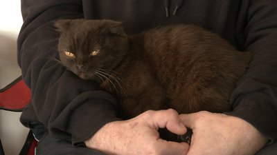 Школа — нова домівка: як на Черкащині живуть переселенці Школа — нова домівка: як на Черкащині живуть переселенці