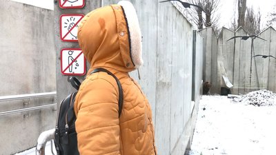 ведмеді ведмеді