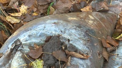 Сумчани півроку просять прибрати звалище нечистот на Набережній р. Стрілки Сумчани півроку просять прибрати звалище нечистот на Набережній р. Стрілки
