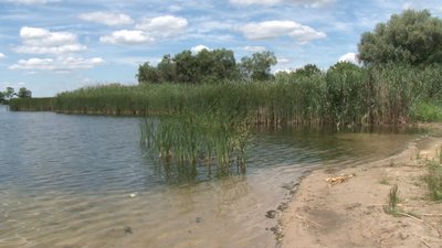 Жителі однієї з ОТГ на Черкащині власноруч облаштували пляж Жителі однієї з ОТГ на Черкащині власноруч облаштували пляж