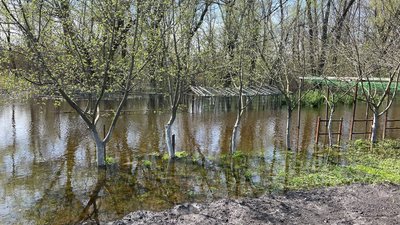 Паводок на Полтавщині: у Кременчуці очікують, що рівень води знизиться Паводок на Полтавщині: у Кременчуці очікують, що рівень води знизиться
