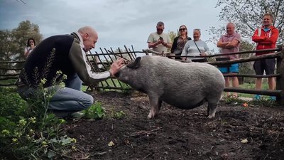 Військовий Володимир Талащук відвідав свою свиню Фросю, яка нині живе в парку у Рівному