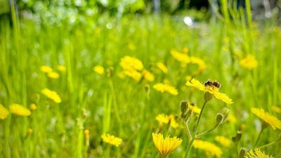 Підвищення температури, спека, Запорізький гідрометцентр, сімейна лікарка, перегрівання