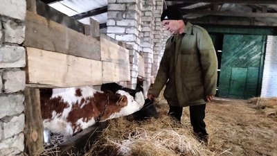 Тваринництво у фермерських господарствах на Волині: чи вигідно здавати молоко Тваринництво у фермерських господарствах на Волині: чи вигідно здавати молоко