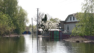 10 будинків затопило повністю, городи у воді: наслідки повені у селищі Макошине