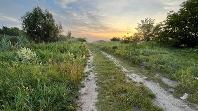Схід сонця на полі