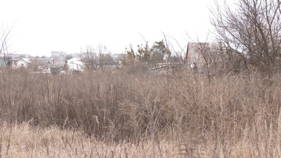 Суд, Радомишль, Житомирщина, Вбивство, Діти Суд, Радомишль, Житомирщина, Вбивство, Діти