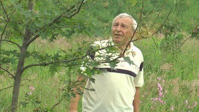 "Землю мою залили хімією". На Франківщині пенсіонер звинувачує агрокомпанію у захопленні його землі "Землю мою залили хімією". На Франківщині пенсіонер звинувачує агрокомпанію у захопленні його землі