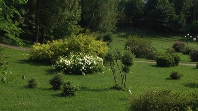 Ботанічний сад ХНУ Ботанічний сад ХНУ