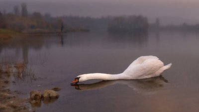 "Це мої діти, і всіх люблю". Прикарпатський фотомитець розповів про те, як прийшов до фотографії "Це мої діти, і всіх люблю". Прикарпатський фотомитець розповів про те, як прийшов до фотографії