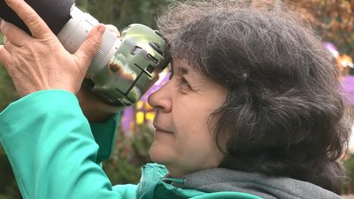 Відрізняє за співом: черкащанка фотографує рідкісних птахів Відрізняє за співом: черкащанка фотографує рідкісних птахів
