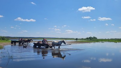 Погода на 1 липня