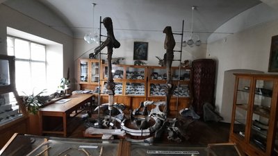 Динозавр, мамонт та копія телеграфу з "Титаніка": львівські музейники розповіли про експозицію Динозавр, мамонт та копія телеграфу з "Титаніка": львівські музейники розповіли про експозицію