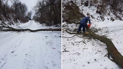Знеструмлені населені пункти та повалені дерева: наслідки негоди на Полтавщині Знеструмлені населені пункти та повалені дерева: наслідки негоди на Полтавщині