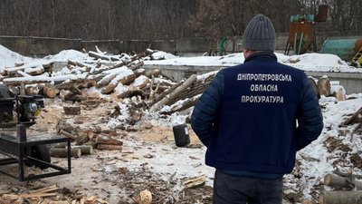 Дерева, ліс, вирубка, кримінал, Дніпропетровщина
