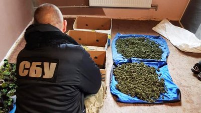 На Миколаївщині у сімейної пари вилучили наркотиків на суму майже 4 млн грн