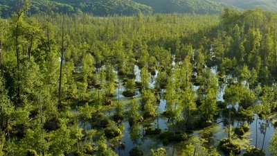 Про захоплення пейзажним аерофото розповів черкаський фотограф