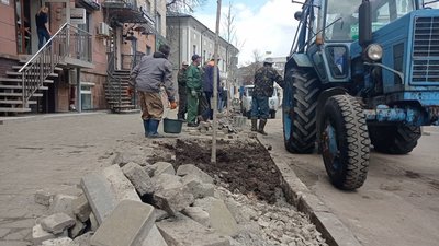 Під час акції з озеленення Тернополя висадили 42 дерева Під час акції з озеленення Тернополя висадили 42 дерева