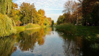 погода на вихідні волинська область, прогноз погоди 10 11 жовтня Луцьк