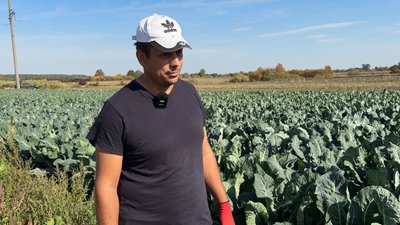 «Заробіток дуже важко передбачити»: фермер з Волині розповів про вирощування броколі та цвітної капусти «Заробіток дуже важко передбачити»: фермер з Волині розповів про вирощування броколі та цвітної капусти