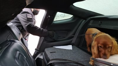 На Одещині службові собаки знайшли наркотики в автівках з США На Одещині службові собаки знайшли наркотики в автівках з США