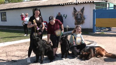 300 учасників і 70 порід. У Кропивницькому відбулася Всеукраїнська виставка собак 300 учасників і 70 порід. У Кропивницькому відбулася Всеукраїнська виставка собак