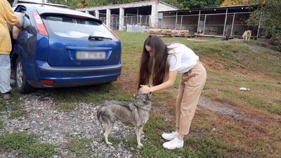 Вероніка любить тварин з дитинства. Собаки і коти - її захоплення. Вероніка любить тварин з дитинства. Собаки і коти - її захоплення.