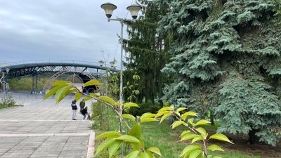 Житомир, погода, природа, жовтень 2025 року