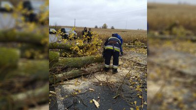 Повалені дерева, пошкоджені дахи, паркани та нема електроенергії: наслідки негоди на Чернігівщині Повалені дерева, пошкоджені дахи, паркани та нема електроенергії: наслідки негоди на Чернігівщині