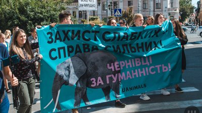 У Чернівцях відбудеться марш за права тварин