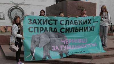 Захист слабких — справа сильних. У Чернівцях провели марш за права тварин Захист слабких — справа сильних. У Чернівцях провели марш за права тварин