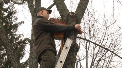 Шпаківні, виготовлені вихованцями шкільних лісництв Житомирщини, передали до дитбудинків та спецшкіл Шпаківні, виготовлені вихованцями шкільних лісництв Житомирщини, передали до дитбудинків та спецшкіл