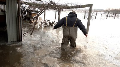 Підтоплення у селі Піщане