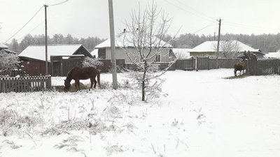 Півтори доби у Об’єднаному не було електрики. По господарству місцеві порались при свічках. Півтори доби у Об’єднаному не було електрики. По господарству місцеві порались при свічках.