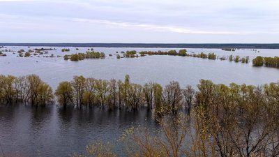 Підтоплення Чернігову не загрожує: на які ділянки може вийти вода з річки Десна