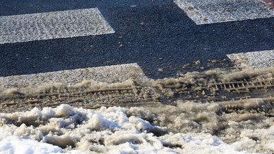 ДТП на Чернігівщині: водій на пішохідному переході збив жінку 2004 року народження