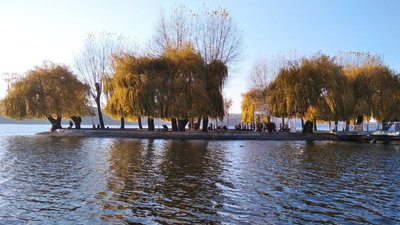 На Тернопільщині у 397 осіб підтвердили COVID-19 за добу