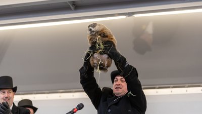 Через смерть провісника в Нью-Джерсі скасували День бабака