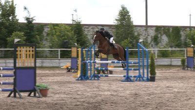 На Рівненщині відбувся Відкритий чемпіонат з кінного спорту. Хто переміг