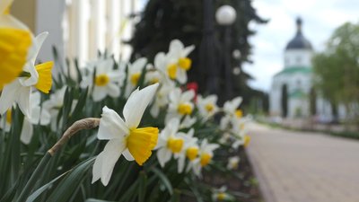 На Сумщині планують перейменувати села Первомайське та Перше Травня