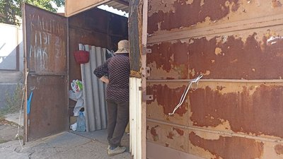 Навіщо збирають каштани та за якою ціною приймають у Кропивницькому Навіщо збирають каштани та за якою ціною приймають у Кропивницькому