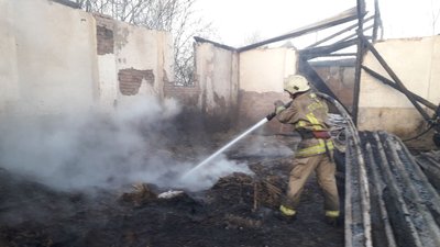 У Виноградові на Закарпатті горіла господарська споруда. Причину загоряння встановлюють