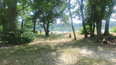 Купатися у водоймах Житомира не рекомендують – вода не відповідає нормам Купатися у водоймах Житомира не рекомендують – вода не відповідає нормам